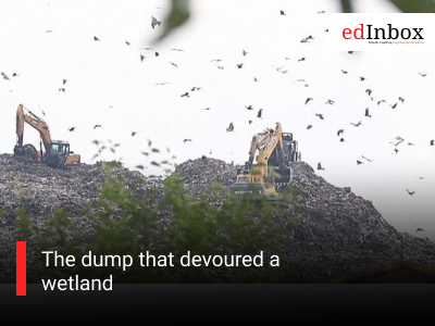 The dump that devoured a wetland