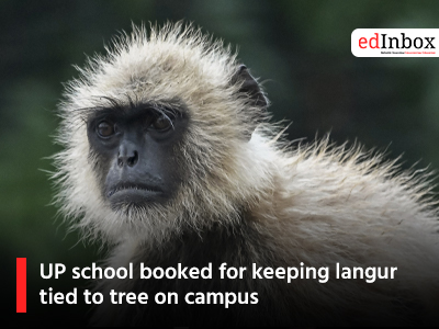 UP school booked for keeping langur tied to tree on campus