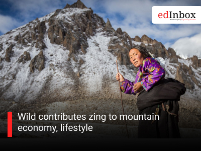 Wild contributes zing to mountain economy, lifestyle