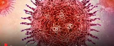 Bengaluru on alert as two infants diagnosed with rare HMPV virus