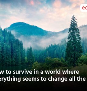 How to survive in a world where everything seems to change all the time?