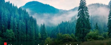 How to survive in a world where everything seems to change all the time?