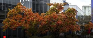 Google PhD Fellowship 2025 (Fully Funded Program)