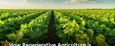 How Regenerative Agriculture is Changing Indian Farming: What Every Agriculture Student Should Know