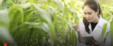 B.Sc Agriculture vs B.Tech Agriculture: What’s the Difference?