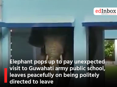 Elephant pops up to pay unexpected visit to Guwahati army public school, leaves peacefully on being politely directed to leave