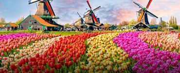 Netherlands' Eric Bleumink Scholarship 2026 (Fully Funded)