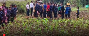 Sikkim school turns wasteland into cropland with monthly environment day