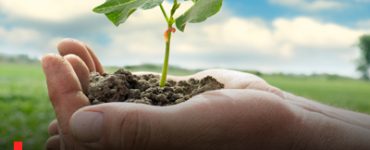 Top 5 New-Era Agriculture Job Roles to Pursue in India
