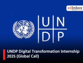 UNDP Digital Transformation Internship 2025 (Global Call)