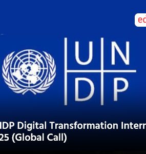 UNDP Digital Transformation Internship 2025 (Global Call)