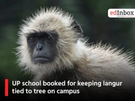 UP school booked for keeping langur tied to tree on campus