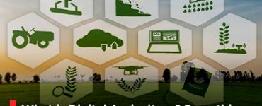 What is Digital Agriculture? Everything Students Should Know