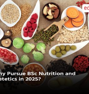 Why Pursue BSc Nutrition and Dietetics in 2025?