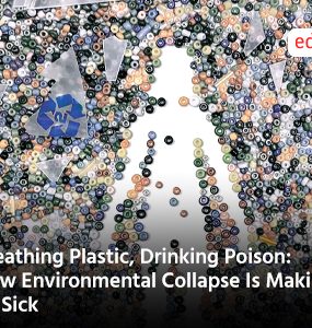Breathing Plastic, Drinking Poison: How Environmental Collapse Is Making Us Sick