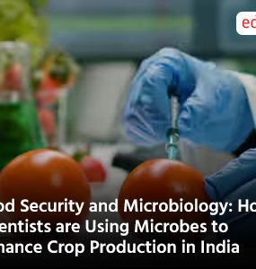Food Security and Microbiology: How Scientists are Using Microbes to Enhance Crop Production in India