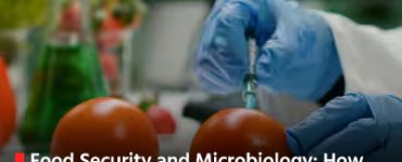 Food Security and Microbiology: How Scientists are Using Microbes to Enhance Crop Production in India