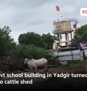Govt school building in Yadgir turned into cattle shed