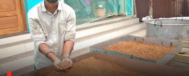 Engineer-entrepreneur brings a palm revolution in the state