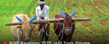 NIRF Rankings 2025: IARI Tops, Private Universities Like LPU and Amity Rising in Agriculture Category