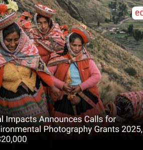 Vital Impacts Announces Calls for Environmental Photography Grants 2025, up to $20,000