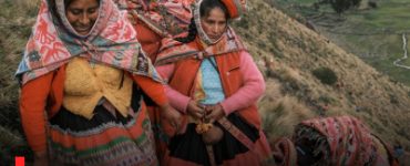 Vital Impacts Announces Calls for Environmental Photography Grants 2025, up to $20,000