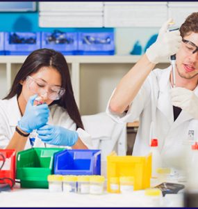 A Day in the Life of a Toxicologist: Roles, Responsibilities, and Challenges