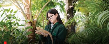 Arbor School's sco-education: Empowering sustainable future in Dubai