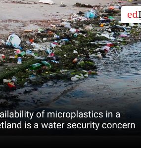 Availability of microplastics in a wetland is a water security concern