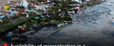 Availability of microplastics in a wetland is a water security concern