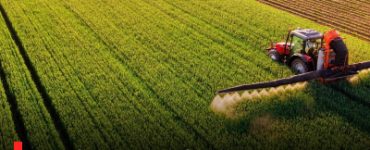 Central Government Hikes MSP to Boost Farmers’ Income and Support Sustainable Agriculture