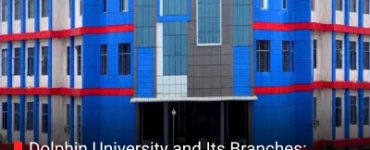 Dolphin University and Its Branches: Comprehensive Profile