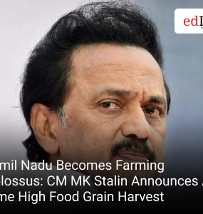 Tamil Nadu Becomes Farming Colossus: CM MK Stalin Announces All-Time High Food Grain Harvest