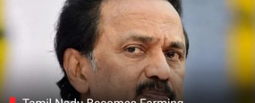Tamil Nadu Becomes Farming Colossus: CM MK Stalin Announces All-Time High Food Grain Harvest