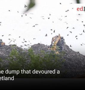 The dump that devoured a wetland