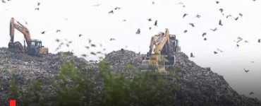 The dump that devoured a wetland