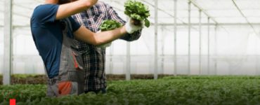 The importance of fieldwork in Agricultural education