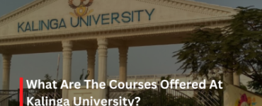 What Are The Courses Offered At Kalinga University