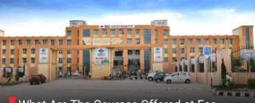 What Are The Courses Offered at Fee Structure At IEC University?