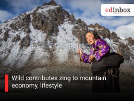 Wild contributes zing to mountain economy, lifestyle