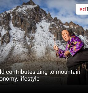 Wild contributes zing to mountain economy, lifestyle