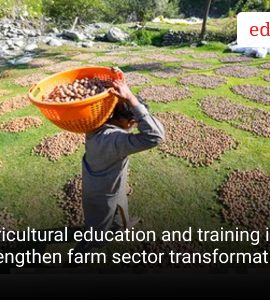 Agricultural education and training in India strengthen farm sector transformation.