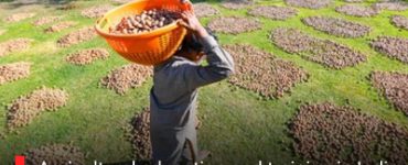 Agricultural education and training in India strengthen farm sector transformation.