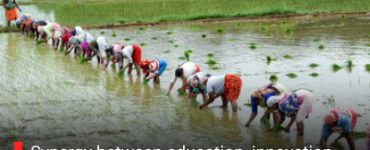 Synergy between education, innovation, skilling key to agricultural progress: Govt