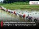 Synergy between education, innovation, skilling key to agricultural progress: Govt