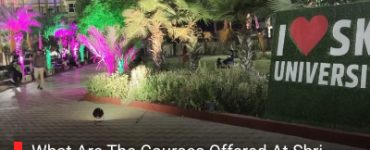 What Are The Courses Offered At Shri Khushal Das University: A Quick List
