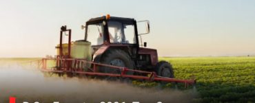 B.Sc. Forestry 2026: Top Careers, AIACAT Exam Guide & Why Choose Now in India
