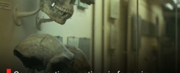 Case reporting practices in forensic anthropology are largely not standardized.