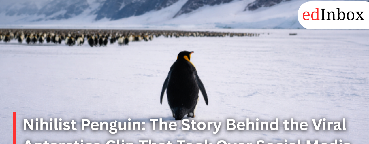 Nihilist Penguin: The Story Behind the Viral Antarctica Clip That Took Over Social Media