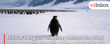 Nihilist Penguin: The Story Behind the Viral Antarctica Clip That Took Over Social Media